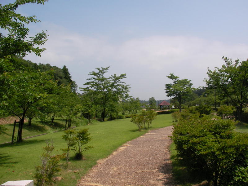 �����炬���R����